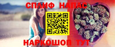Альфа ПВП Лесосибирск