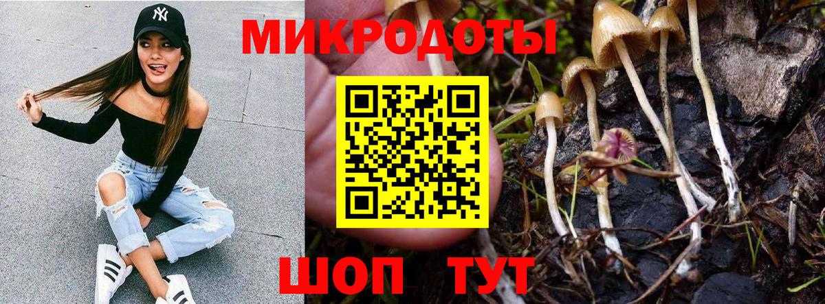 Псилоцибиновые грибы GOLDEN TEACHER  Галлюциногенные грибы Magic Shrooms  Калуга  Вход с VPN 